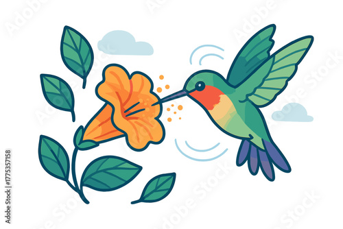 Colorful hummingbird feeding on nectar from a bright orange trumpet flower in flight