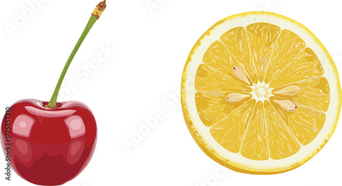 cherry and lemon slice, fruit pair illustration, red yellow contrast, juicy texture detail, cad drawing flat vector illustration