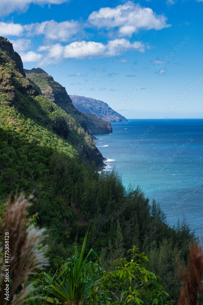 Fototapeta premium Beautiful Napali Coast, Kauai, Hawaii