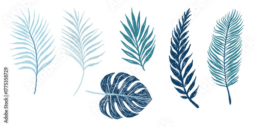 Hand drawn tropical leaves silhouette isolated on the tee print design vector set.
