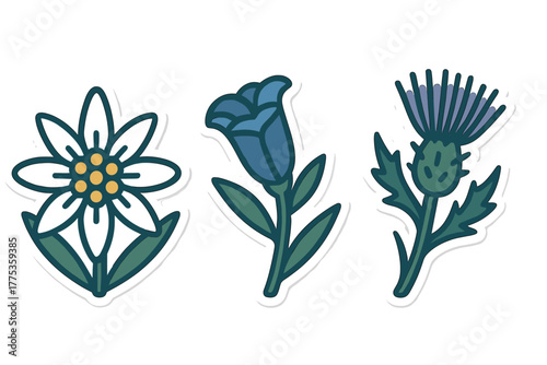 Traditional European national flowers edelweiss bluebell and thistle