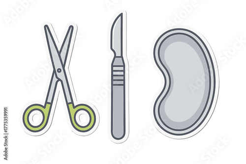 Collection of essential surgical instruments including scissors, scalpel, and kidney dish tools used in medical procedures