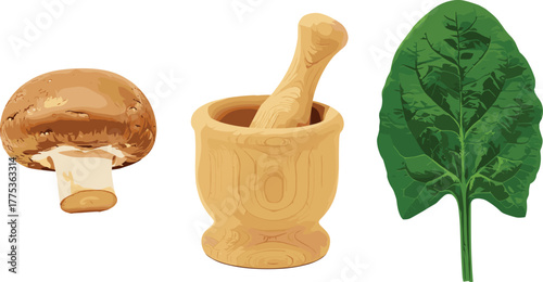 mushroom spinach mortar pestle, kitchen ingredient set, herbal cooking tools, healthy food items, cad drawing flat vector illustration