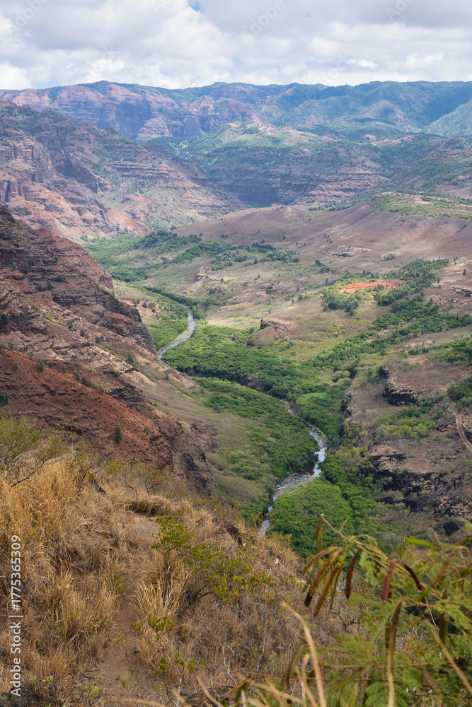 Fototapeta premium Wandern im Waimea Canyon, Kauai, Hawaii