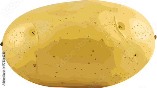 Single light brown potato with smooth surface and natural blemishes, realistic texture, food ingredient, cad drawing flat vector 