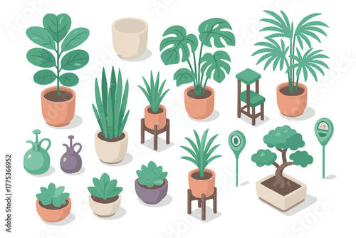 Isometric collection of potted houseplants and gardening tools for home decor