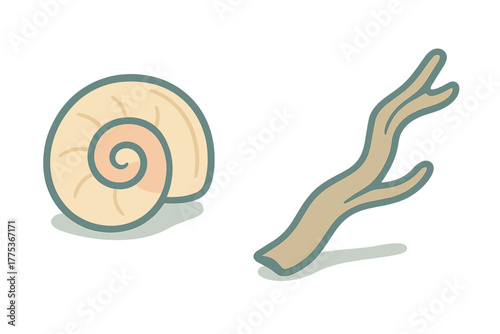 Beige spiral snail shell and brown weathered driftwood piece representing coastal nature