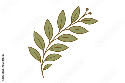 Decorative sprig with elongated leaves and tiny round berries in earthy tones