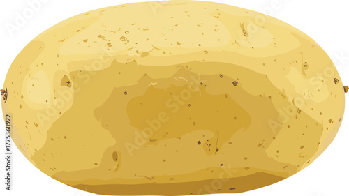 Whole raw potato with realistic texture, skin blemishes, food ingredient, agricultural produce, cad drawing flat vector illustration, organic vegetable