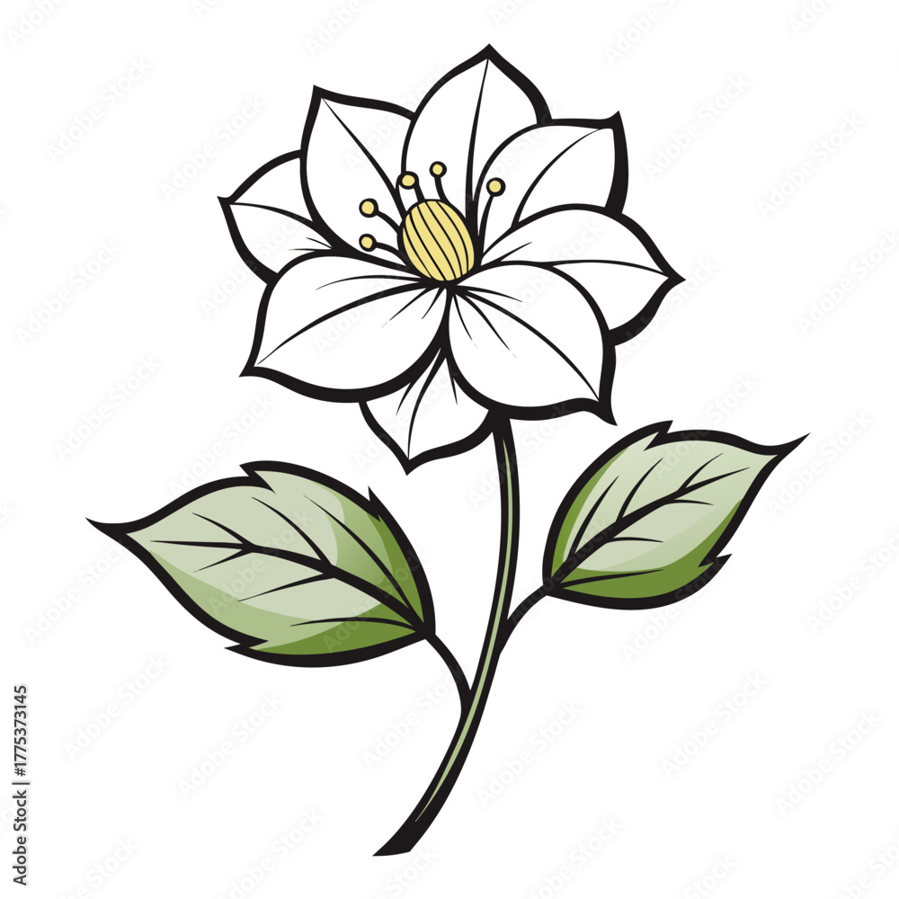 Fototapeta premium hellebore white line art on white background