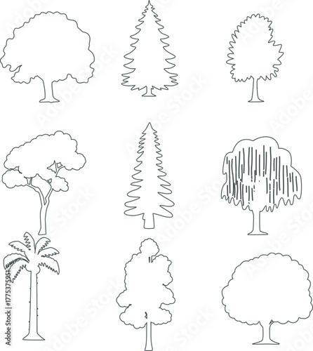 Tree Outline Illustration Set — Simple Forest Line Art, Minimal Botanical Trees Clipart