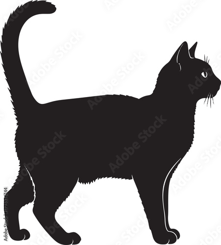 Elegant black cat silhouette standing proudly with its tail held high.
