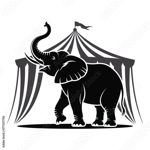 Silhouette of an elephant standing in front of a circus tent