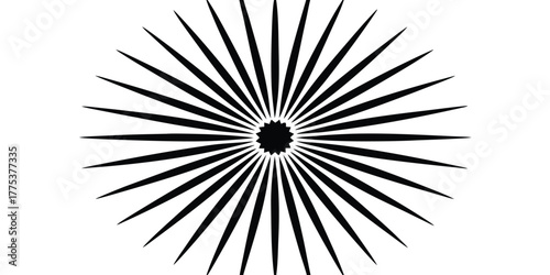 Abstract radial burst or sunburst graphic in black and white, a stylized geometric pattern