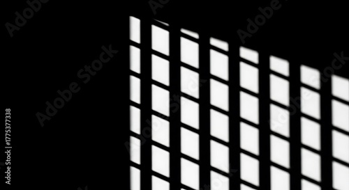 Silhouette of window and tree branches. Gobo mask.
