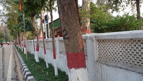 line of marked tree outside of white wall