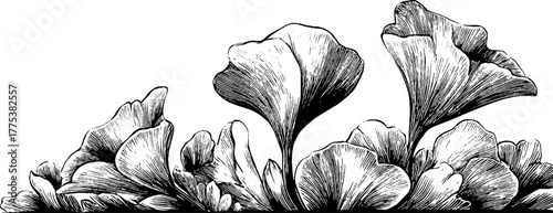 Intricate black and white engraved floral background for retro design projects