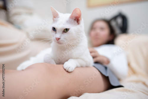 自宅で寛ぐ猫と女の子