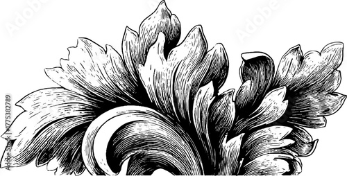 Baroque pattern with curling acanthus leaves vintage design for decorative projects