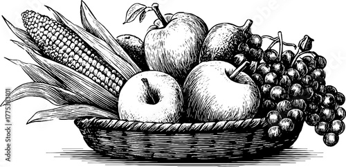 Cornucopia overflowing with fruits and grains vintage design for harvest celebration