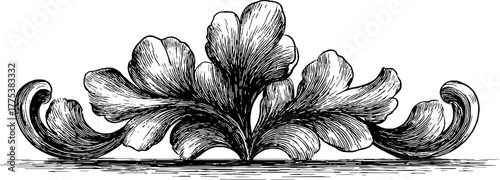 Ornate floral decorative divider in vintage engraving style for retro design