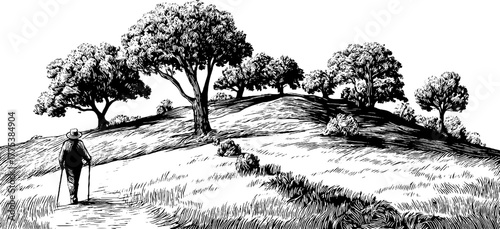 Vintage silhouette of man climbing gentle hillside with walking stick for nature-inspired design