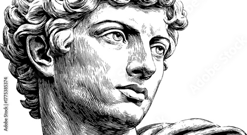 Renaissance man's engraved portrait reflecting timeless elegance and history for artistic design