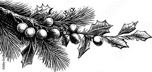 Vintage rectangular border with pine needles, stars, and mistletoe for holiday design