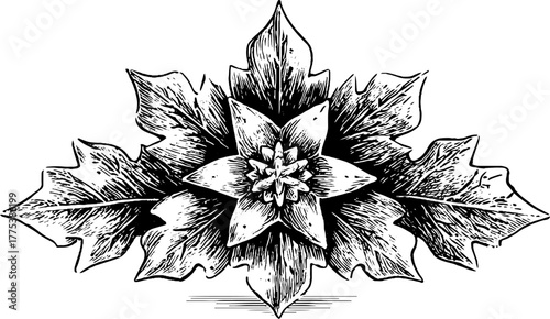 Intricate geometric snowflake design with vintage engraved style for seasonal decor