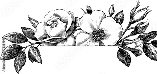 Vintage floral frame with symmetrical leaves and petals for elegant design projects