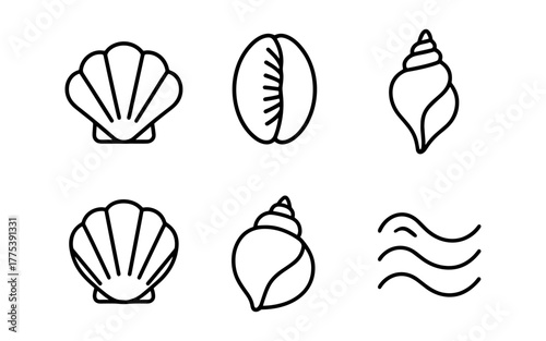 Minimalist seashell icons set: nautical beach elements in linear style