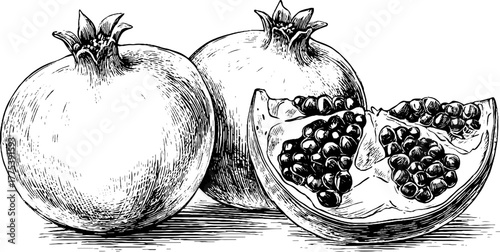 Vintage engraving of pomegranate split open showing seeds for retro design and decoration
