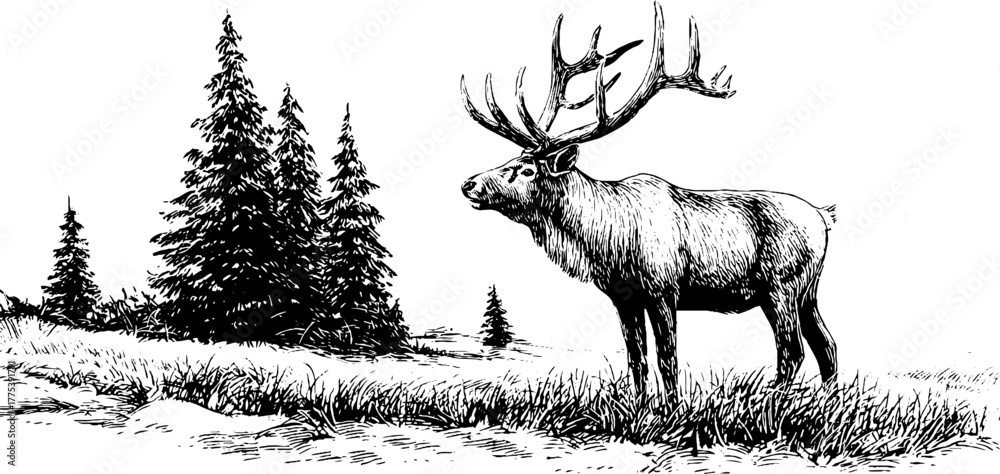 Naklejka premium Elegant reindeer silhouette with majestic antlers in vintage engraving style