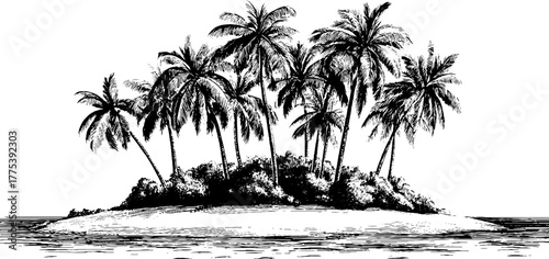 Tropical island with palm trees and shoreline vintage engraving design for posters and prints