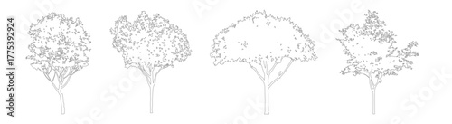 CAD Tree Outline Vector Set, Architectural Line Trees for Design Drawings