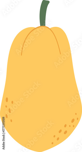 vector illustration of a papaya fruit