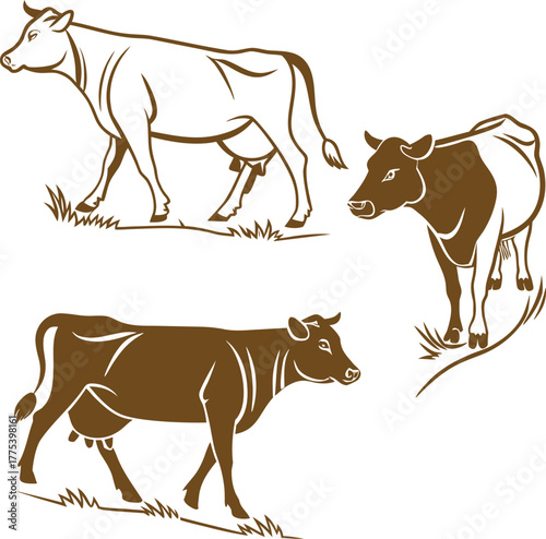 cow and calf vector