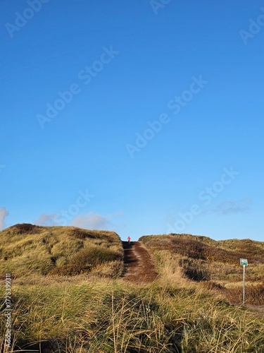 The beautiful Danish Western coast
