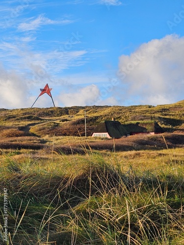 The beautiful Danish Western coast