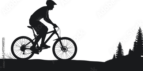 Mountain biker silhouette riding on a grassy trail with pine trees, mountain biking, cyclist, silhouette, riding, bicycle, bike, trail, grass, trees, pine trees, nature, outdoor, sport, recreation, ac