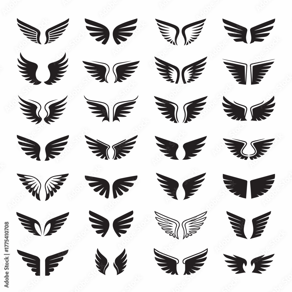 Fototapeta premium black and white wing and shield vector illustration set