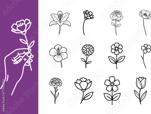 Flower liner icon collection. Rose, sunflower, tulip, lily, daisy and more. Nature editable stroke.