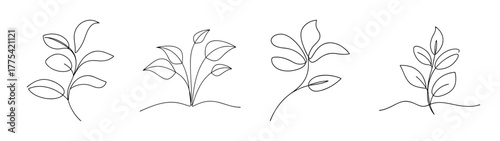 Four delicate outline drawings of potted houseplants or office plants