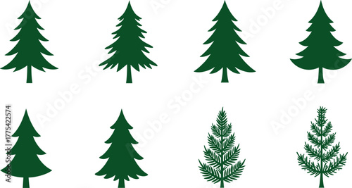 Evergreen tree silhouette vector illustration, conifer forest collection, pine and fir trees, woodland landscape, green silhouette, nature design, outdoor decoration, plant elements