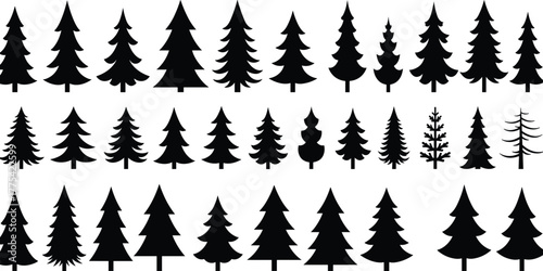 Evergreen tree silhouette set, conifer forest vector, pine shapes collection, botanical tree icons, nature elements, black tree graphic, woodland illustration