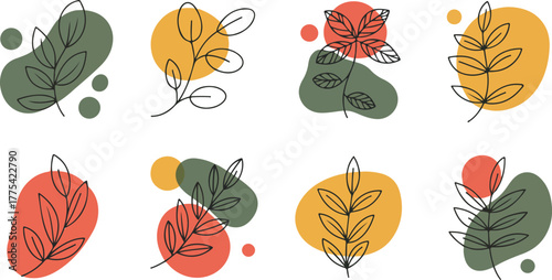 Abstract Organic Shapes With Botanical Line Art Elements