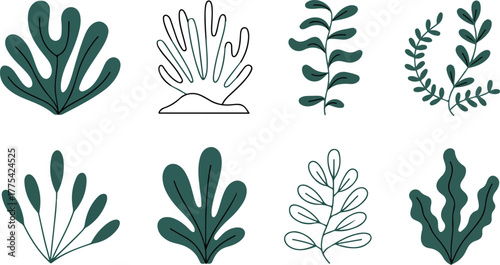 Collection of Stylized Seaweed and Coral Illustrations