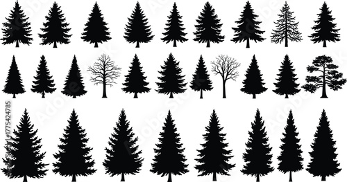 Tree silhouette collection, black vector trees, diverse foliage shapes, forest illustration set, botanical clipart, nature icons, deciduous and coniferous tree design
