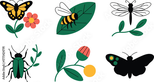 Colorful Insects and Flowers on White Background butterfly