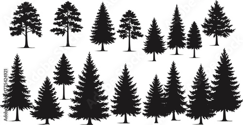 Tree silhouettes vector illustration set, coniferous and deciduous forest collection, black and white design elements, natural woodland shapes for landscape and ecology